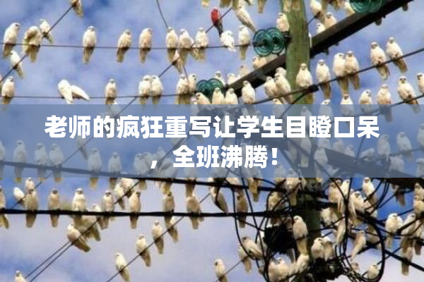 老师的疯狂重写让学生目瞪口呆，全班沸腾！
