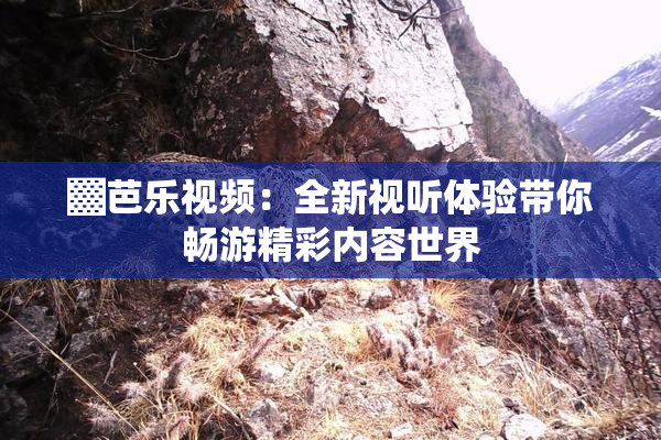 ▓芭乐视频：全新视听体验带你畅游精彩内容世界