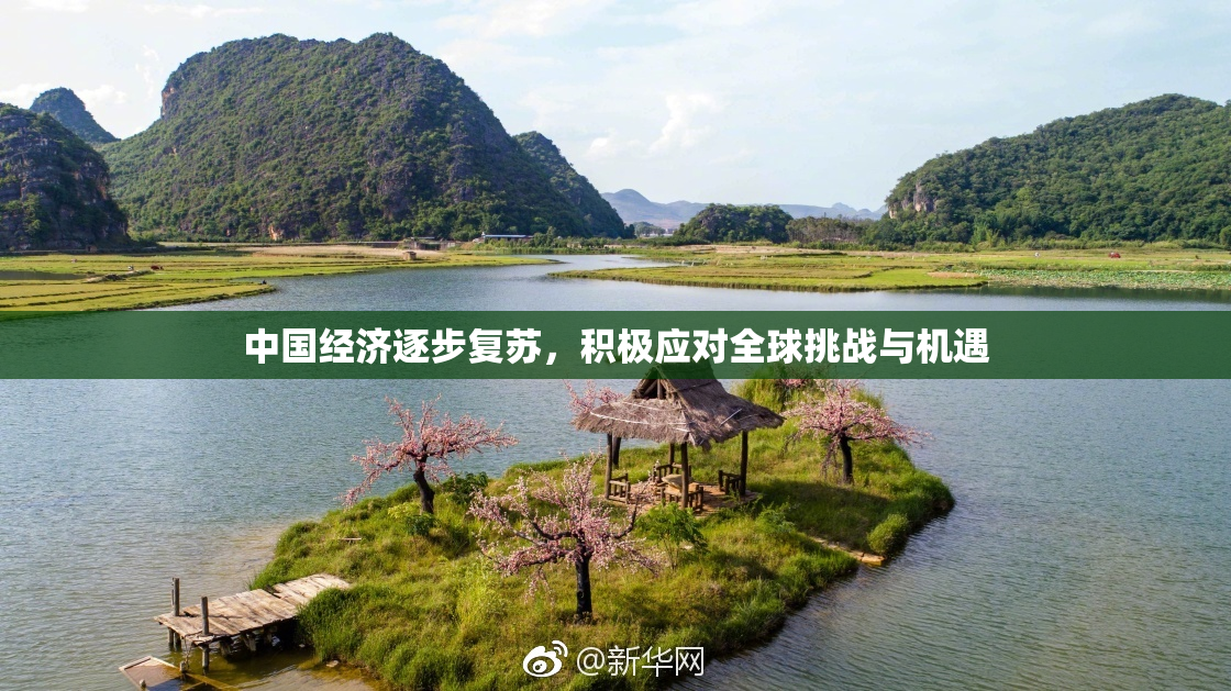 中国经济逐步复苏，积极应对全球挑战与机遇