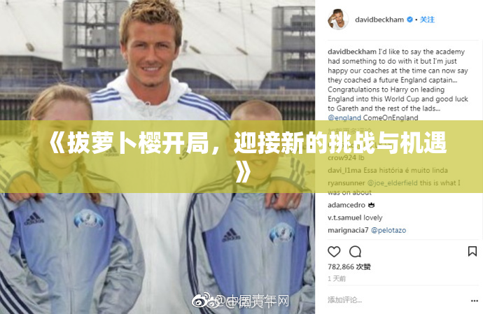 《拔萝卜樱开局，迎接新的挑战与机遇》
