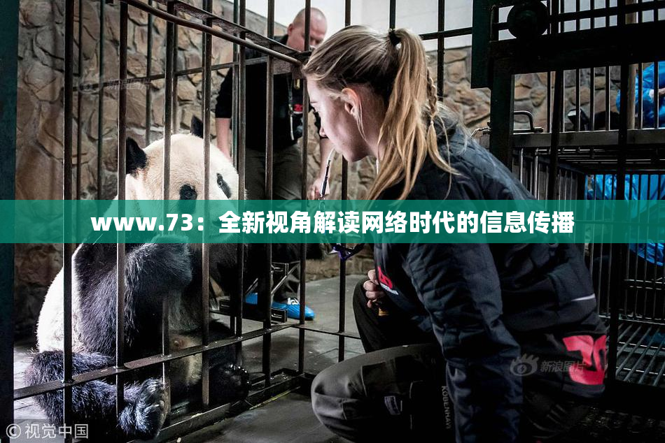 www.73：全新视角解读网络时代的信息传播