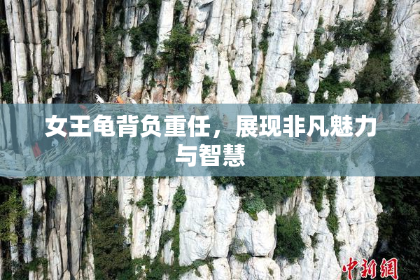 女王龟背负重任，展现非凡魅力与智慧