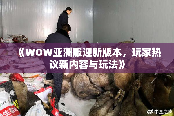 《WOW亚洲服迎新版本，玩家热议新内容与玩法》
