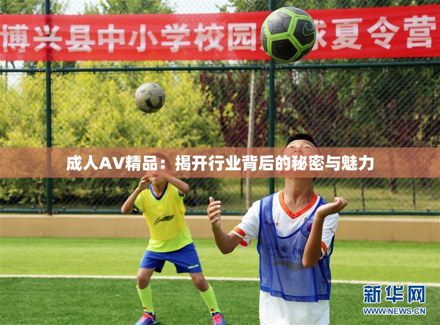 成人AV精品：揭开行业背后的秘密与魅力
