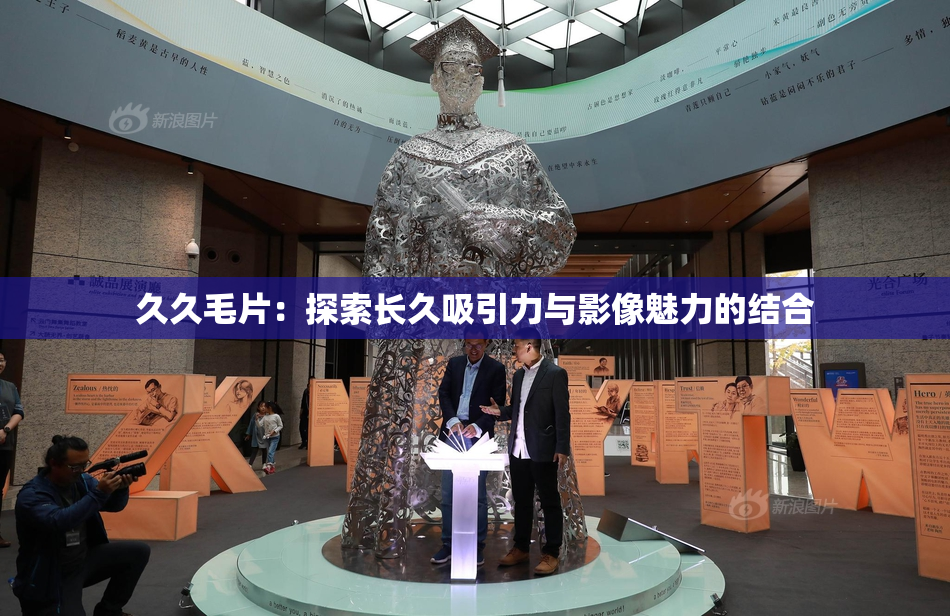 久久毛片：探索长久吸引力与影像魅力的结合