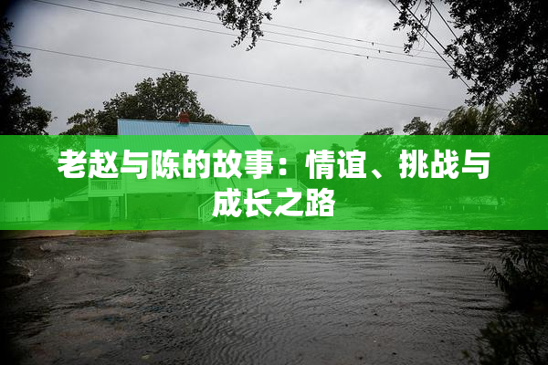 老赵与陈的故事：情谊、挑战与成长之路