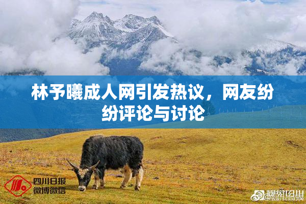 林予曦成人网引发热议，网友纷纷评论与讨论