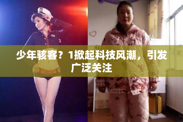 少年骇客？1掀起科技风潮，引发广泛关注