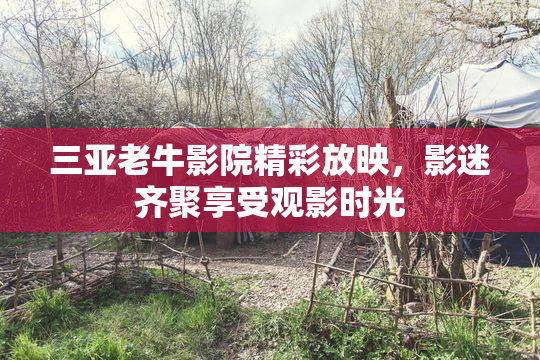 三亚老牛影院精彩放映，影迷齐聚享受观影时光