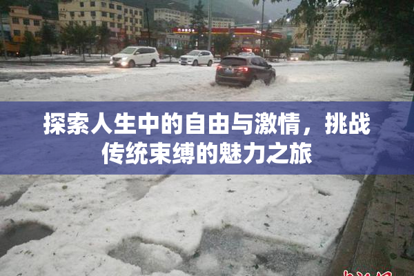 探索人生中的自由与激情，挑战传统束缚的魅力之旅