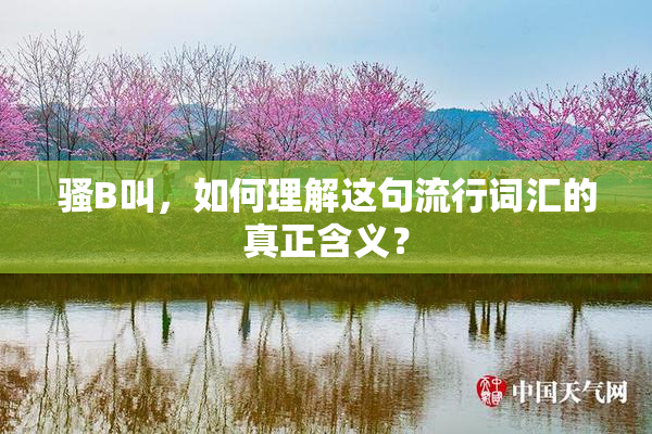 骚B叫，如何理解这句流行词汇的真正含义？