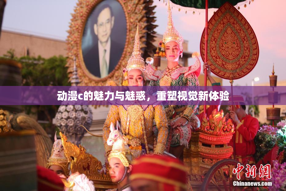 动漫c的魅力与魅惑，重塑视觉新体验