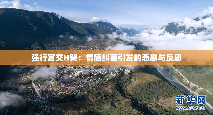 强行宫交H哭：情感纠葛引发的悲剧与反思
