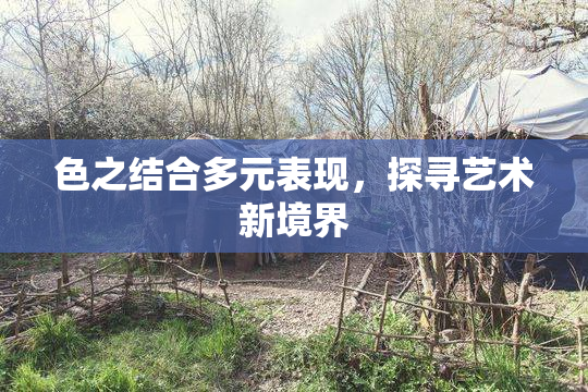 色之结合多元表现，探寻艺术新境界