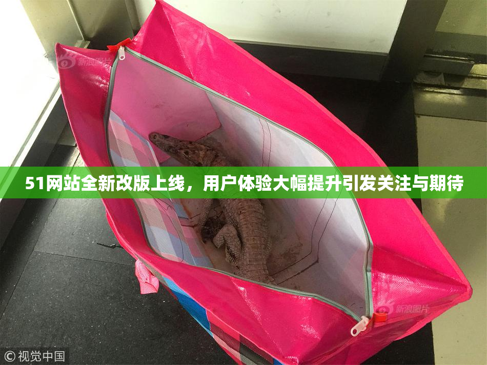 51网站全新改版上线，用户体验大幅提升引发关注与期待