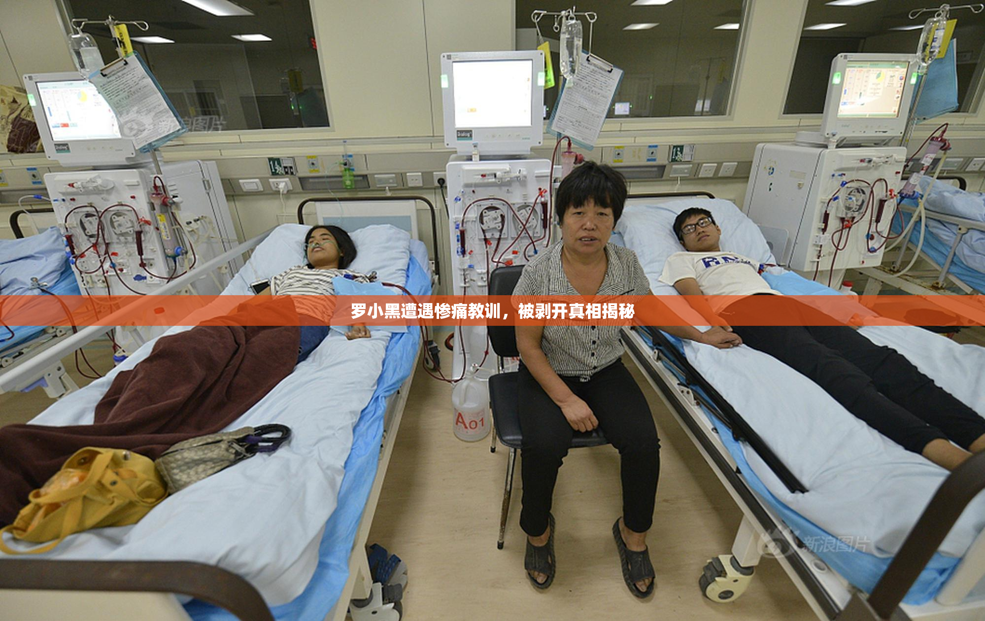罗小黑遭遇惨痛教训，被剥开真相揭秘
