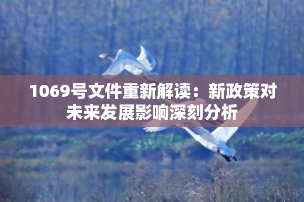 1069号文件重新解读：新政策对未来发展影响深刻分析