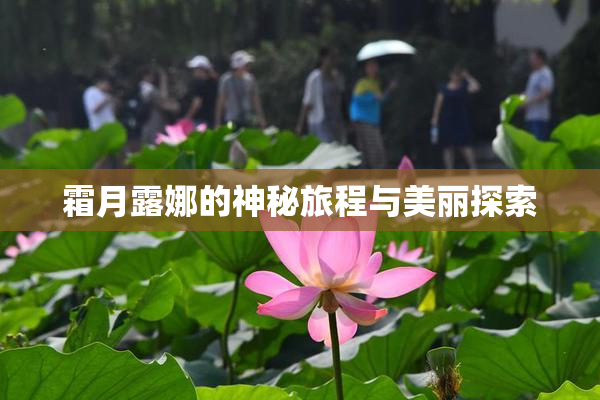 霜月露娜的神秘旅程与美丽探索