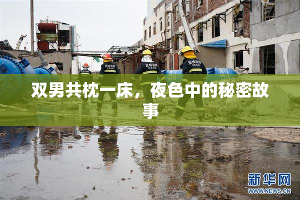 双男共枕一床，夜色中的秘密故事