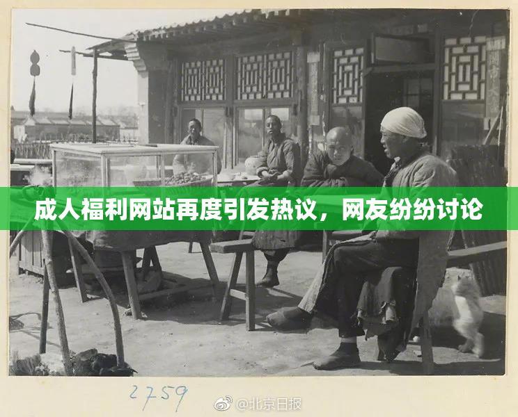 成人福利网站再度引发热议，网友纷纷讨论