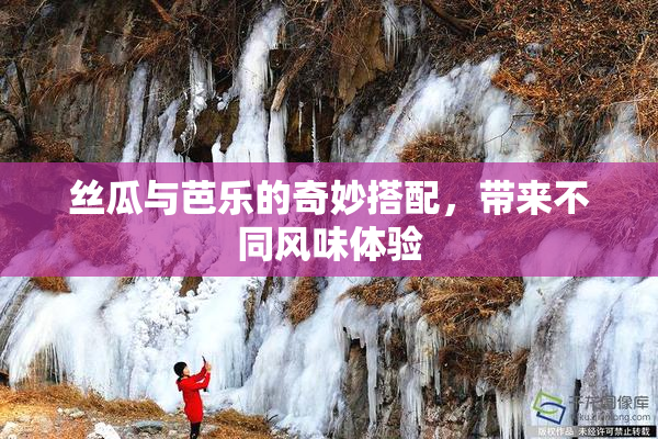 丝瓜与芭乐的奇妙搭配，带来不同风味体验