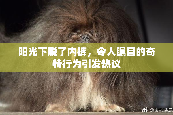 阳光下脱了内裤，令人瞩目的奇特行为引发热议