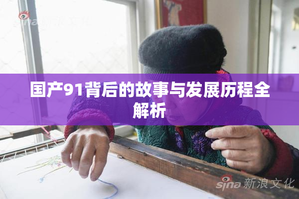 国产91背后的故事与发展历程全解析