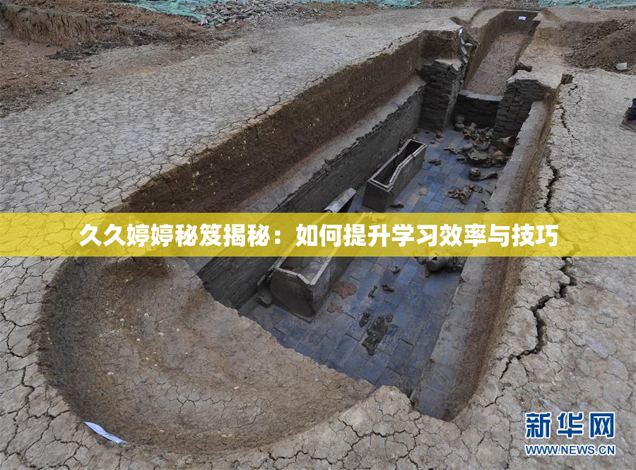 久久婷婷秘笈揭秘：如何提升学习效率与技巧