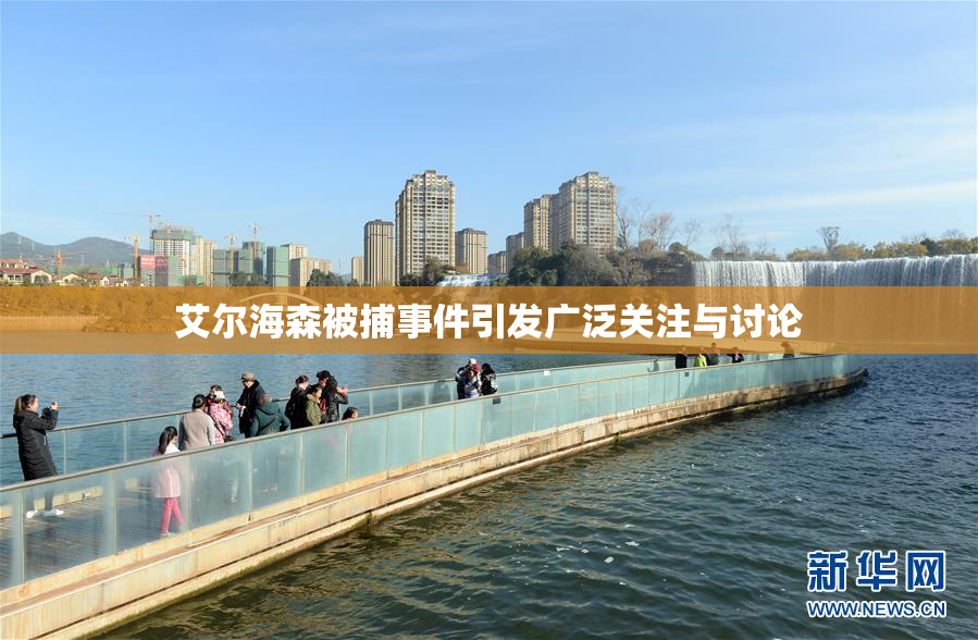 艾尔海森被捕事件引发广泛关注与讨论