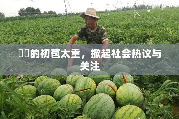 妺妺的初苞太重，掀起社会热议与关注