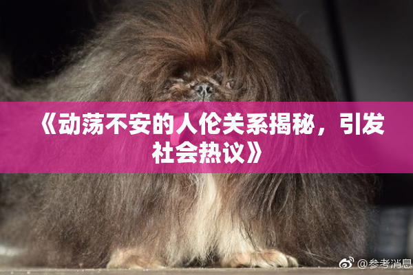 《动荡不安的人伦关系揭秘，引发社会热议》