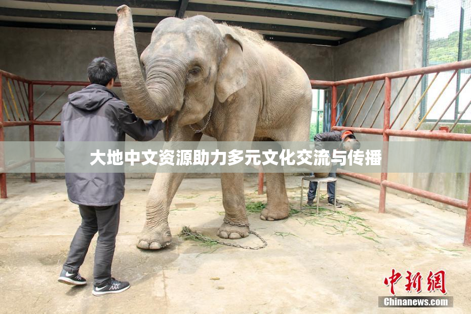 大地中文资源助力多元文化交流与传播