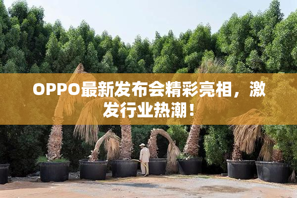 OPPO最新发布会精彩亮相，激发行业热潮！