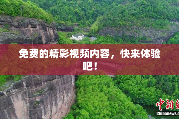 免费的精彩视频内容，快来体验吧！