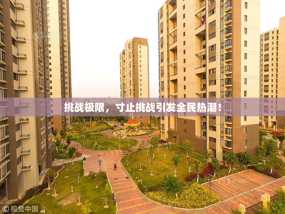 挑战极限，寸止挑战引发全民热潮！