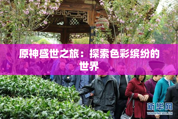 原神盛世之旅：探索色彩缤纷的世界