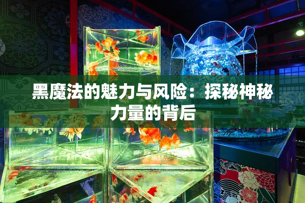 黑魔法的魅力与风险：探秘神秘力量的背后