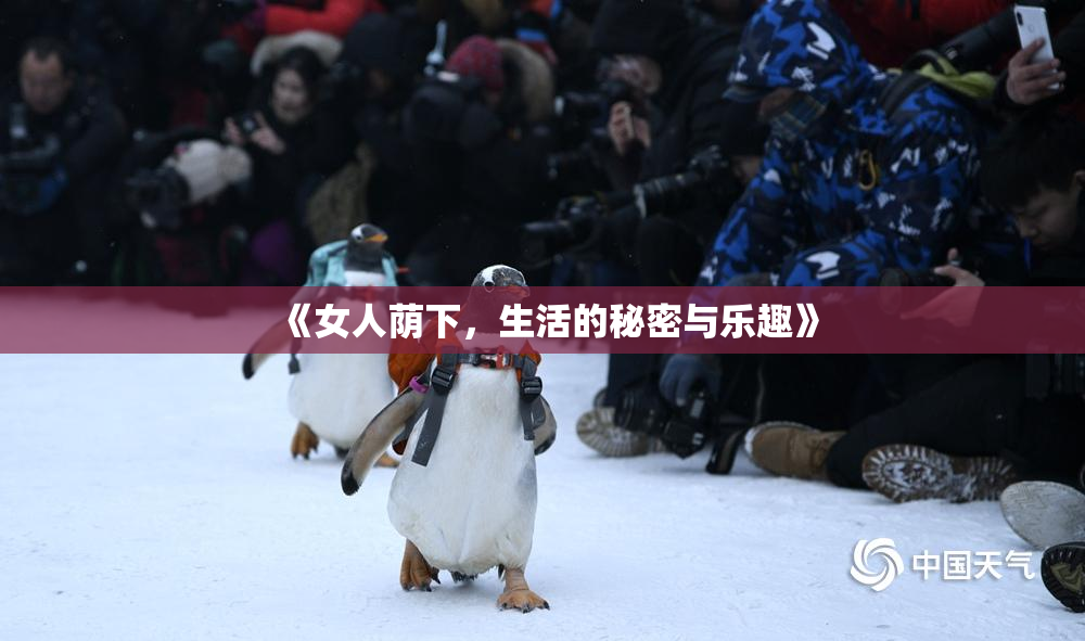 《女人荫下，生活的秘密与乐趣》