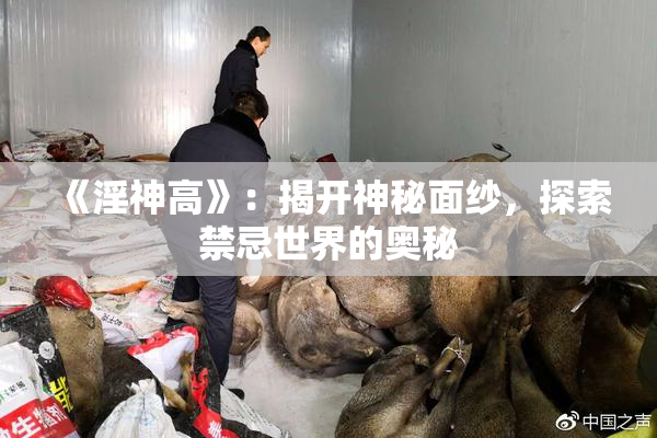 《淫神高》：揭开神秘面纱，探索禁忌世界的奥秘