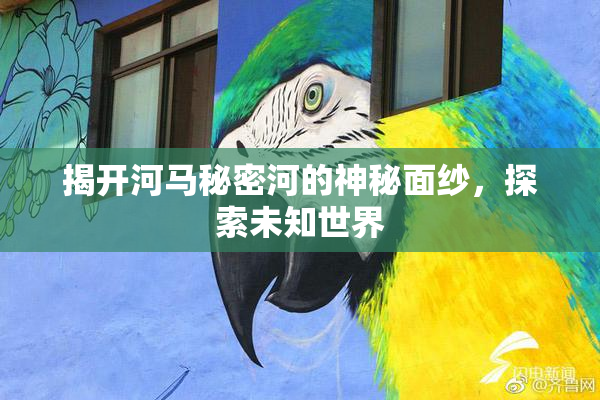 揭开河马秘密河的神秘面纱，探索未知世界