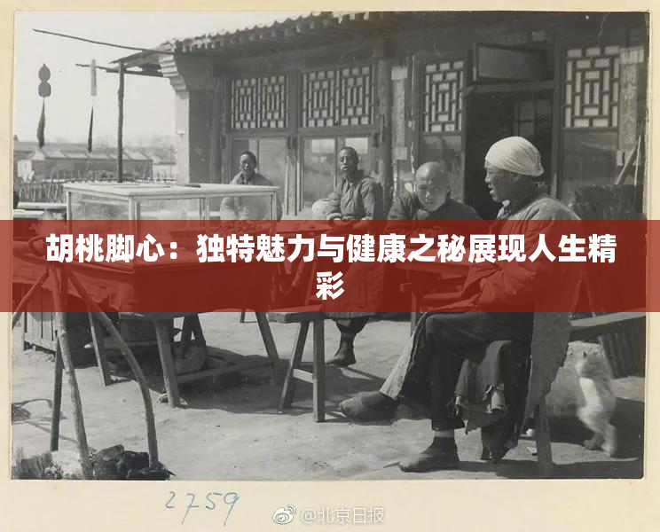 胡桃脚心：独特魅力与健康之秘展现人生精彩