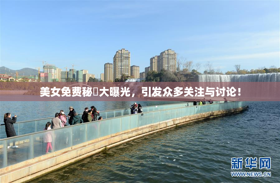 美女免费秘訣大曝光，引发众多关注与讨论！