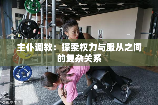 主仆调教：探索权力与服从之间的复杂关系