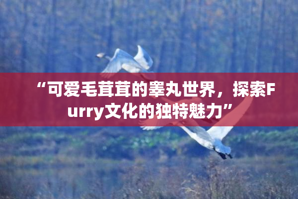 “可爱毛茸茸的睾丸世界，探索Furry文化的独特魅力”