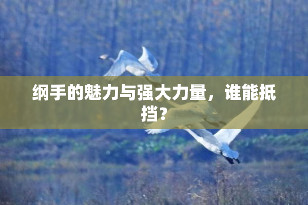 纲手的魅力与强大力量，谁能抵挡？