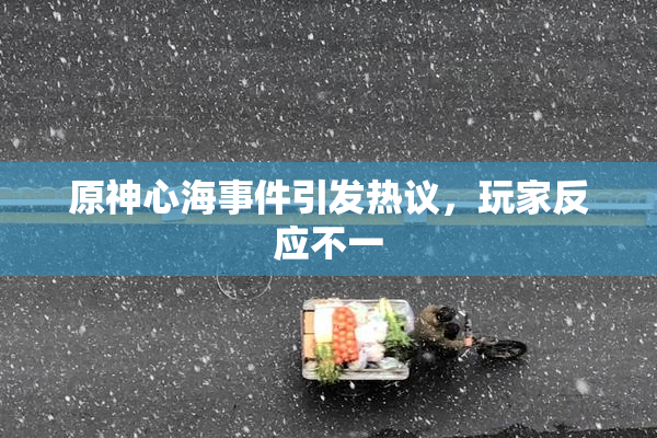 原神心海事件引发热议，玩家反应不一
