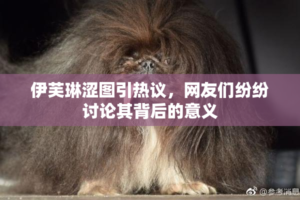 伊芙琳涩图引热议，网友们纷纷讨论其背后的意义