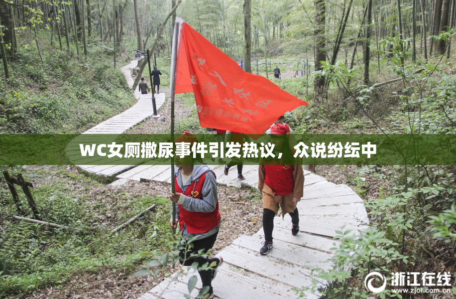 WC女厕撒尿事件引发热议，众说纷纭中