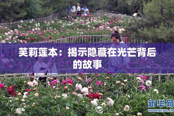 芙莉莲本：揭示隐藏在光芒背后的故事