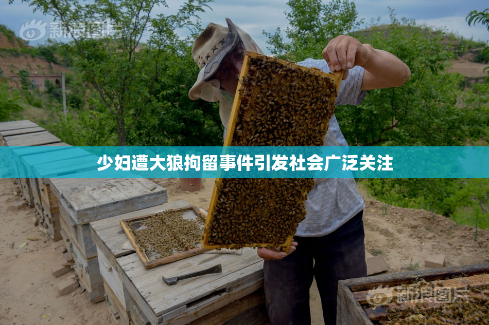 少妇遭大狼拘留事件引发社会广泛关注